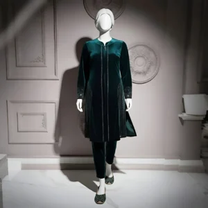 Sea Green - Attractive Stone Work Velvet Co-Ord Set